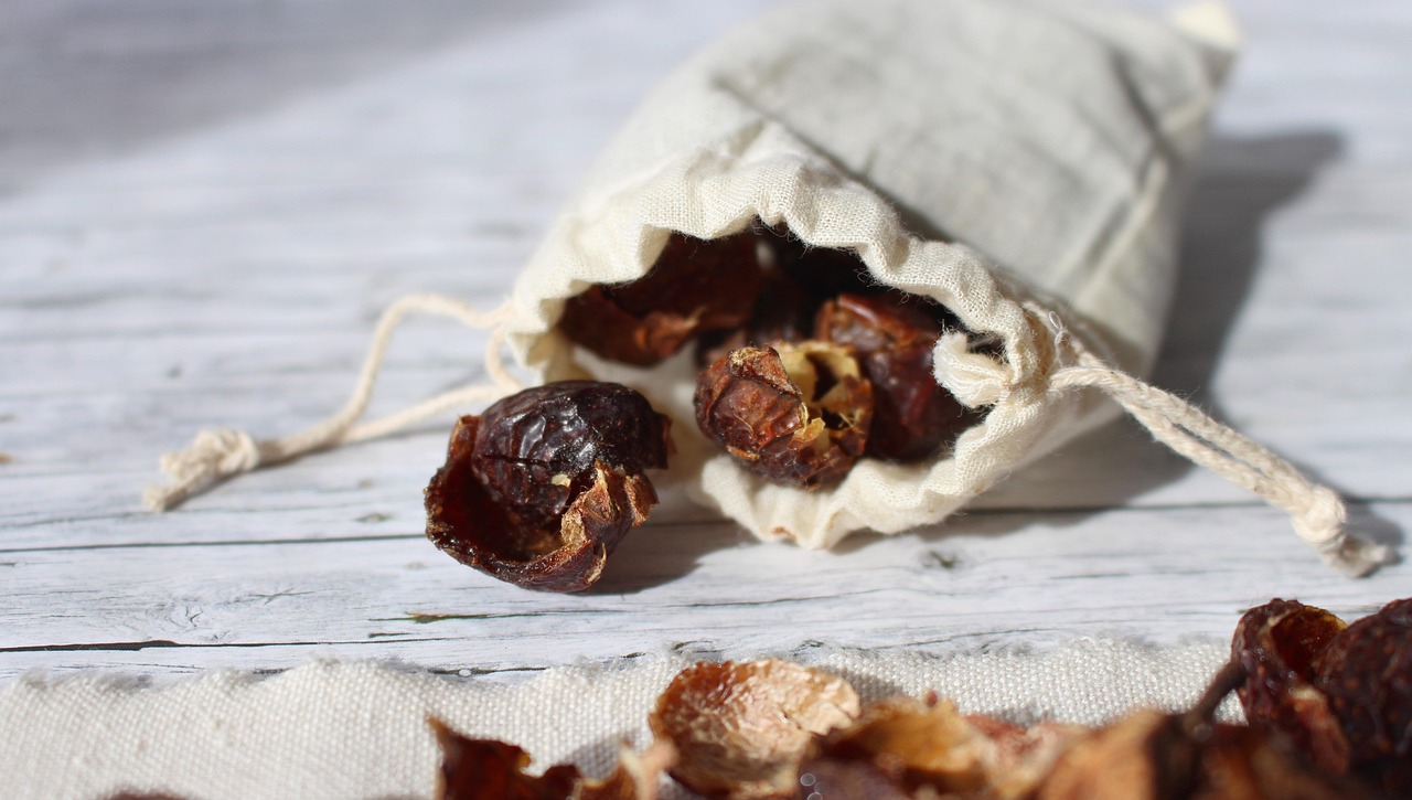 Use Soap Nuts for All-Natural, Nontoxic, Plastic-free Cleaning!