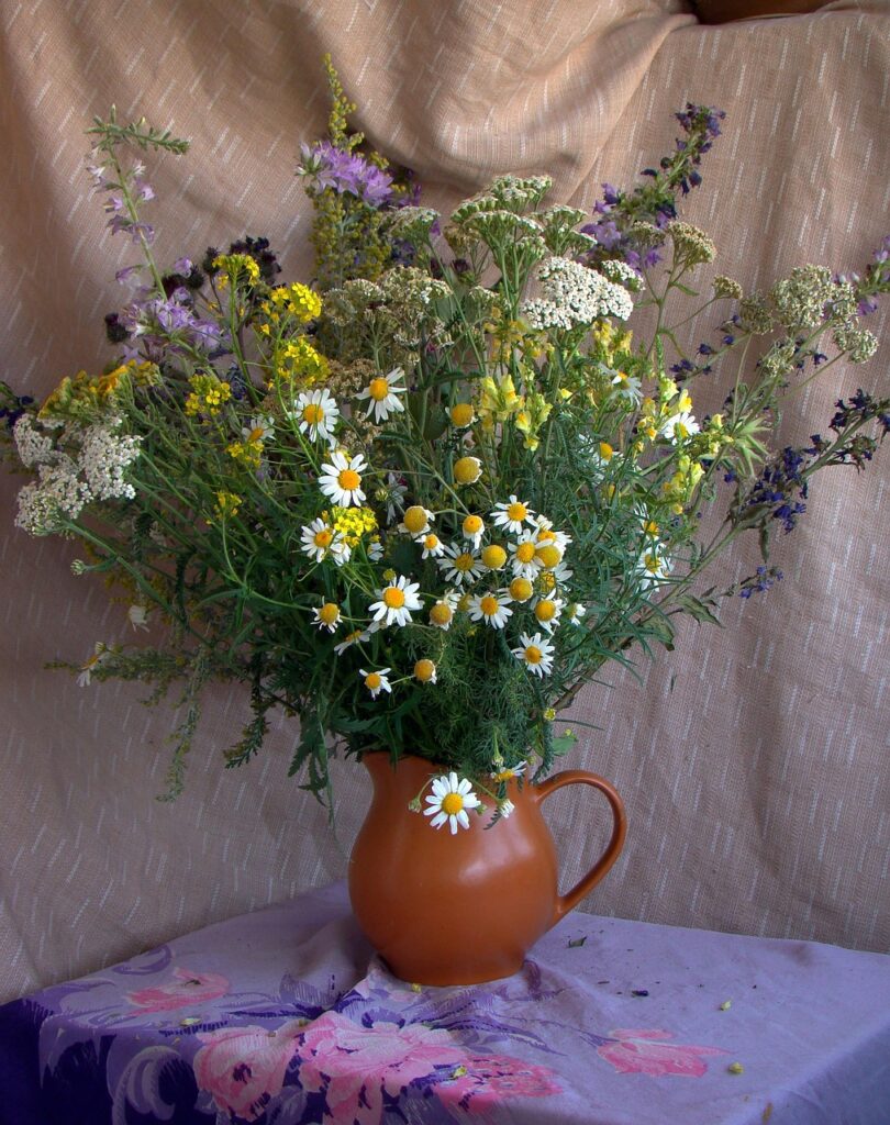 bouquet, jug, still life, artistic staging, flowers, chamomile, yarrow, bells, wildflowers, drapery, summer, still life, still life, still life, still life, still life, drapery, drapery