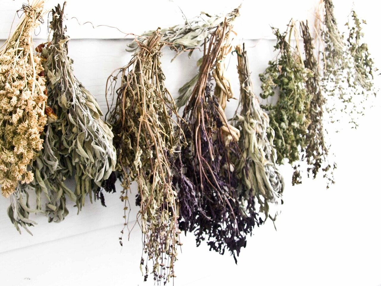 Learn How to Grow Strong, Long, Luscious Hair with Herbs