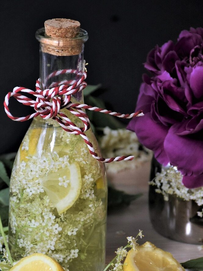 elder, holler, elderberries, holder bush, remedies, berry, vitamins, fruit, sambucus, medicinal plant, elderflower, lilacberries, healthy, elderberry juice, boil down, syrup, sugar, lemon, food photo, remedies, sambucus, sambucus, sambucus, elderflower, elderflower, elderflower, elderflower, elderflower, elderberry juice