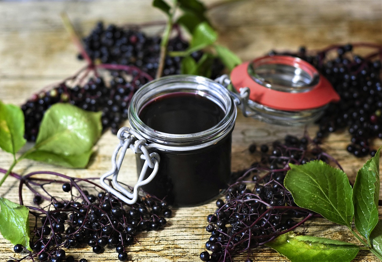 How to Keep Your Family Healthy with Elderberries