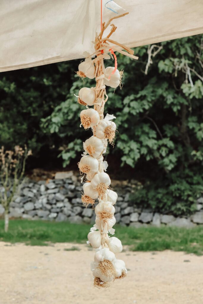 Braid of garlic bulbs hanging outdoors against a natural background.