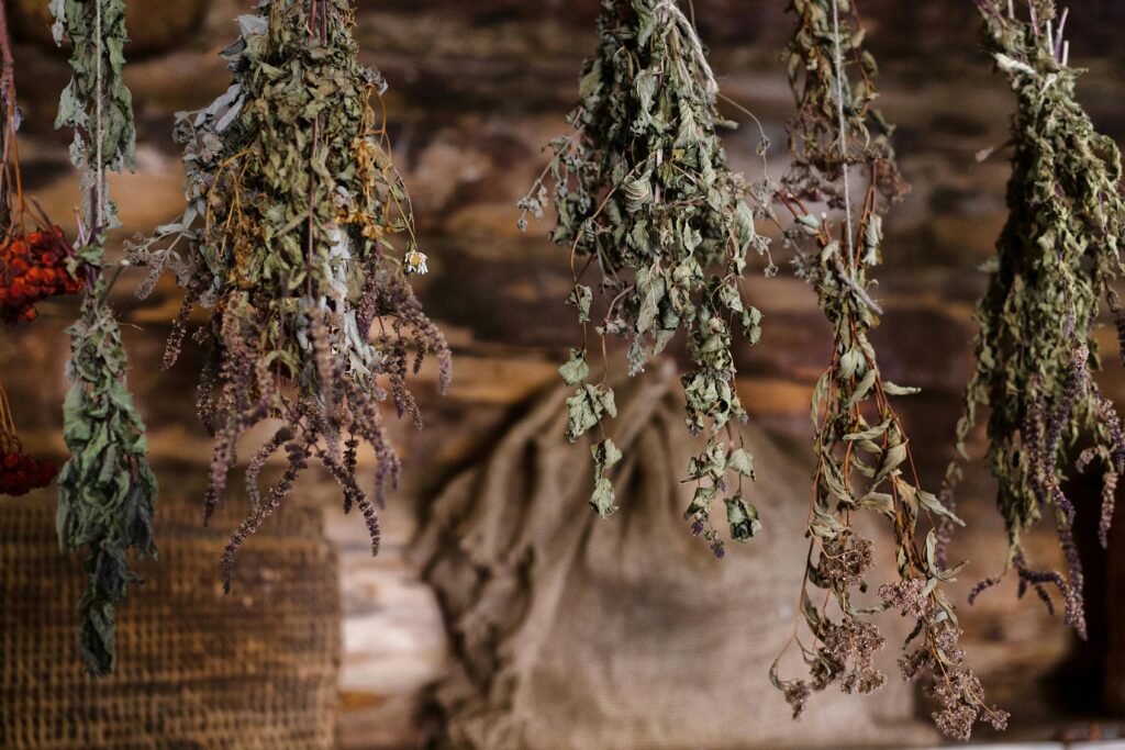 A rustic scene featuring a variety of dried herbs hanging indoors, showcasing natural textures.