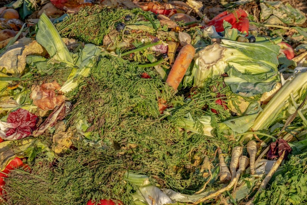compost, garbage, biological, waste, fruit, vegetables, recycling, compost heap, fertilizer, ecology, compost, compost, compost, compost, compost