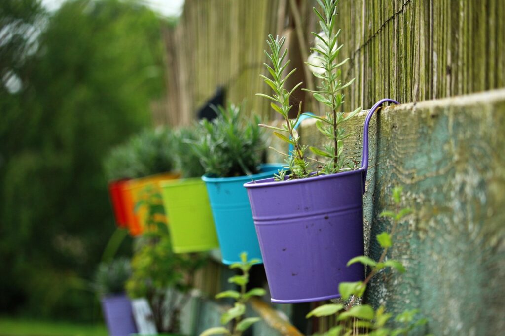 plant pot, beautiful flowers, multicoloured, flower background, lavender, flower wallpaper, plant, pot, nature, rainbow, coloured, colorful, flower, decoration