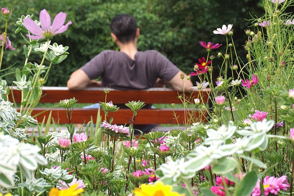 bench, boy on the bench, seated young man, male, guy, flowers, meeting, rest, relaxation, bench in the park, park, garden, meadow, a bright place