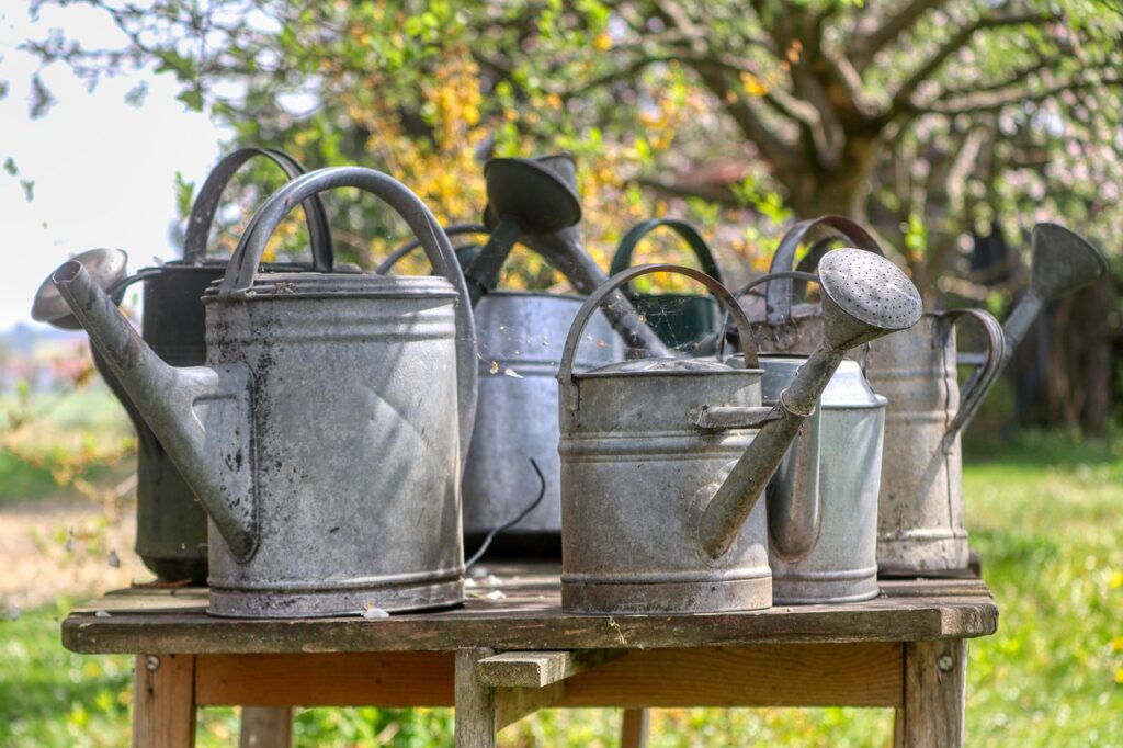 watering can, tin, nature, metal, gardening, to water, garden decoration, water, can, decoration, sheet, item of use
