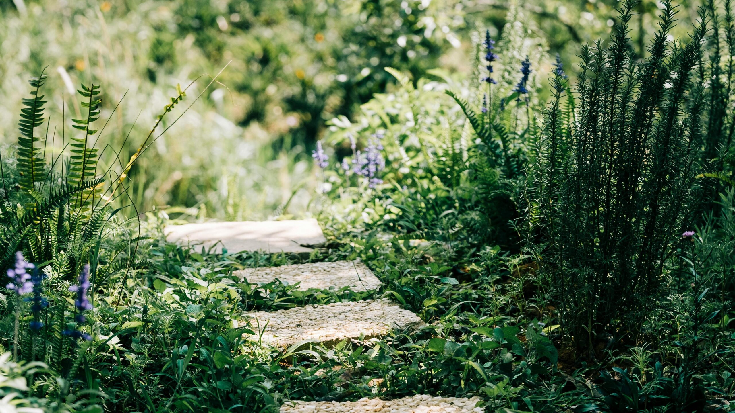 A serene stone pathway surrounded by vibrant greenery in a sunlit garden.