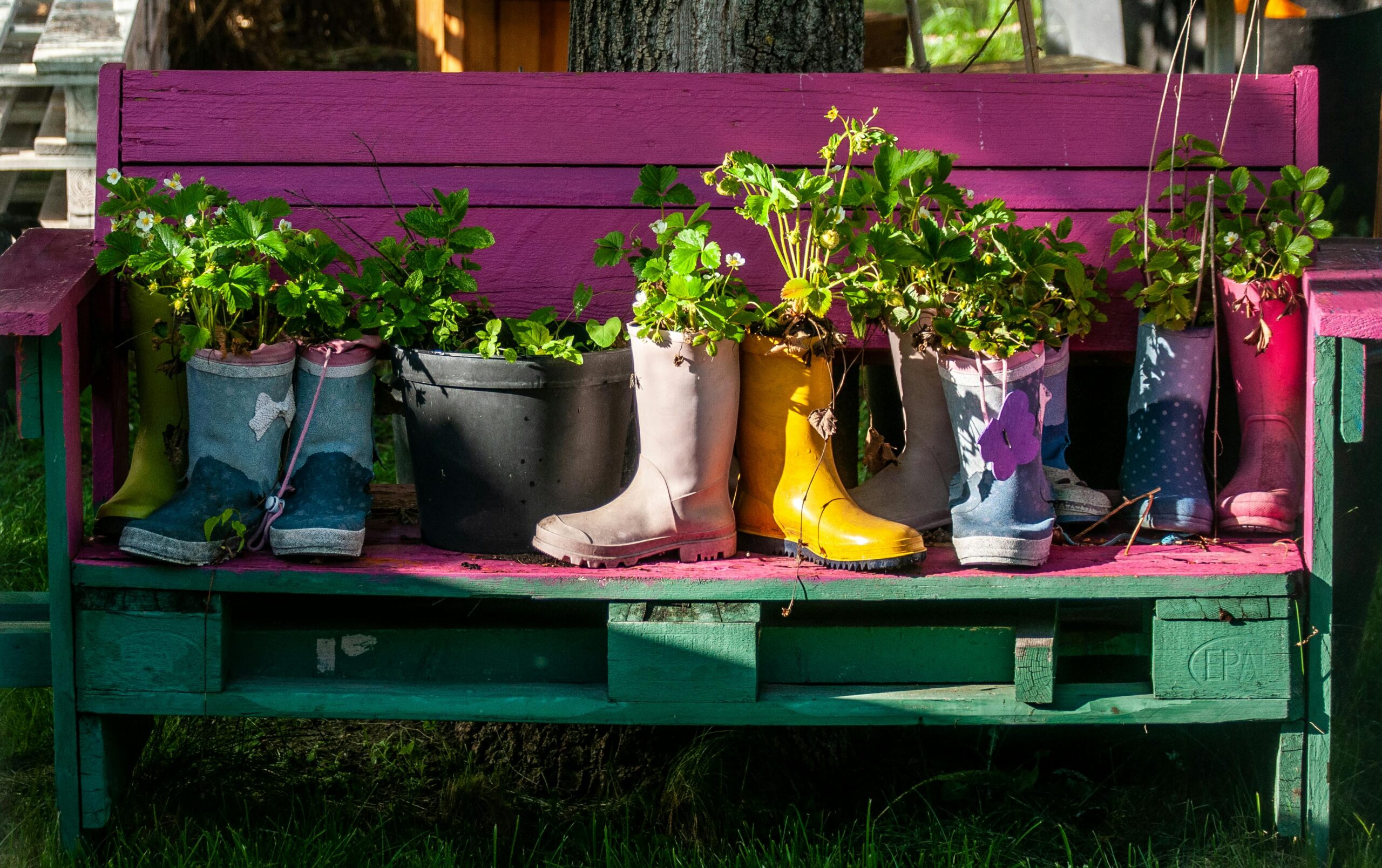 Cariel’s How to Start an Herb Garden Series – Part 1: Growing an Herb Garden in Containers